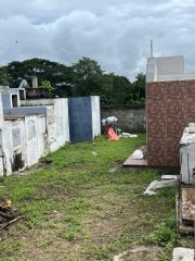 Fotos 15-06-25 (3)