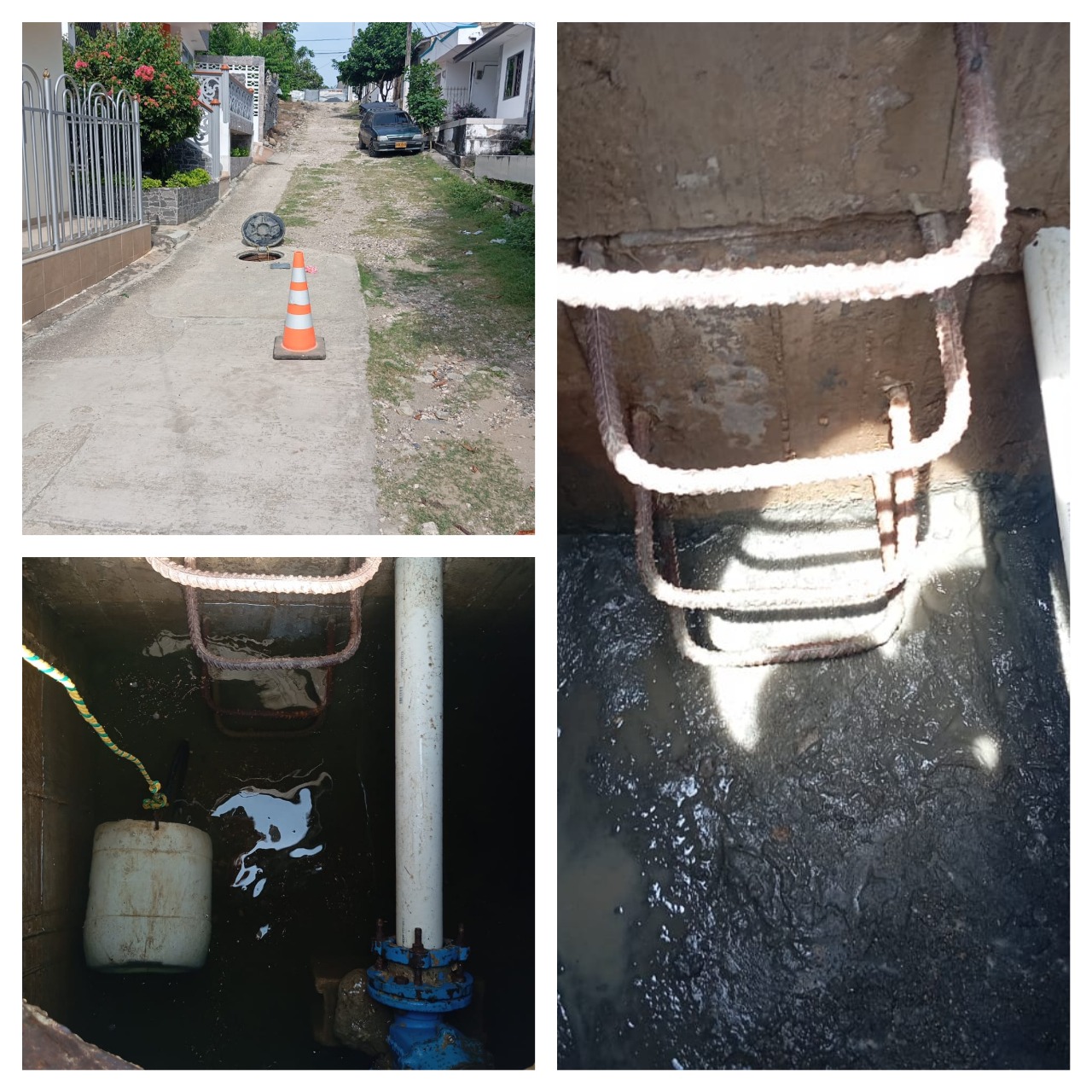 Realizamos Labores de Limpieza y Mantenimiento en el Barrio Las Flores