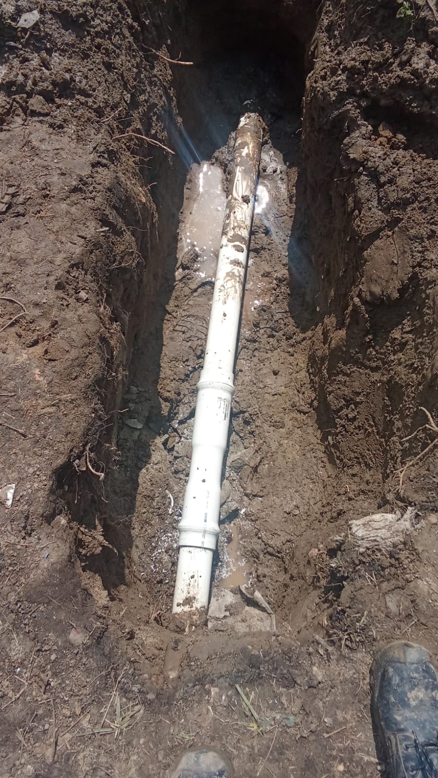 Mantenimiento Preventivo: Jornada de Limpieza en Terminales de la Red