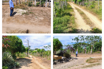 Estudios Técnicos y Viabilidad de Nuevas Acometidas